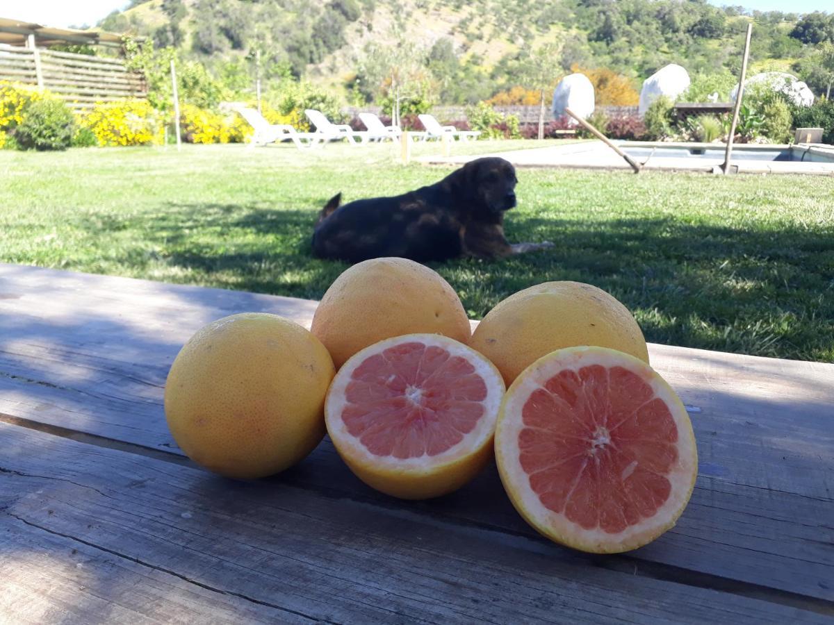 סנטה קרוז Callihue Lodge מראה חיצוני תמונה