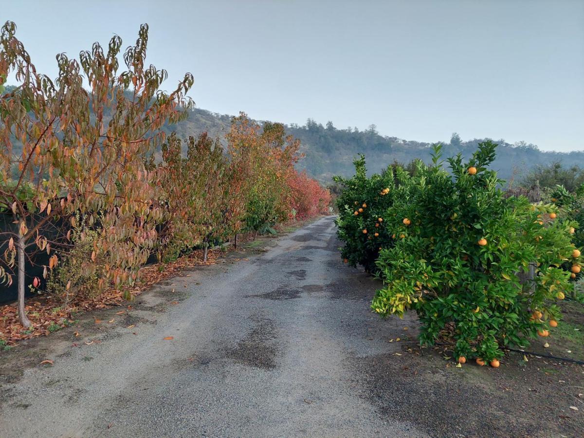 סנטה קרוז Callihue Lodge מראה חיצוני תמונה