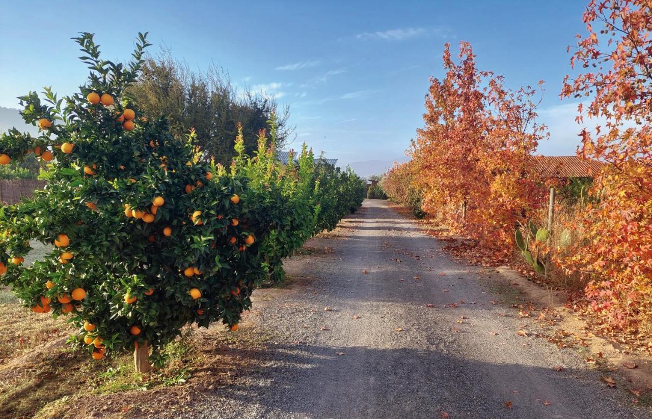 סנטה קרוז Callihue Lodge מראה חיצוני תמונה